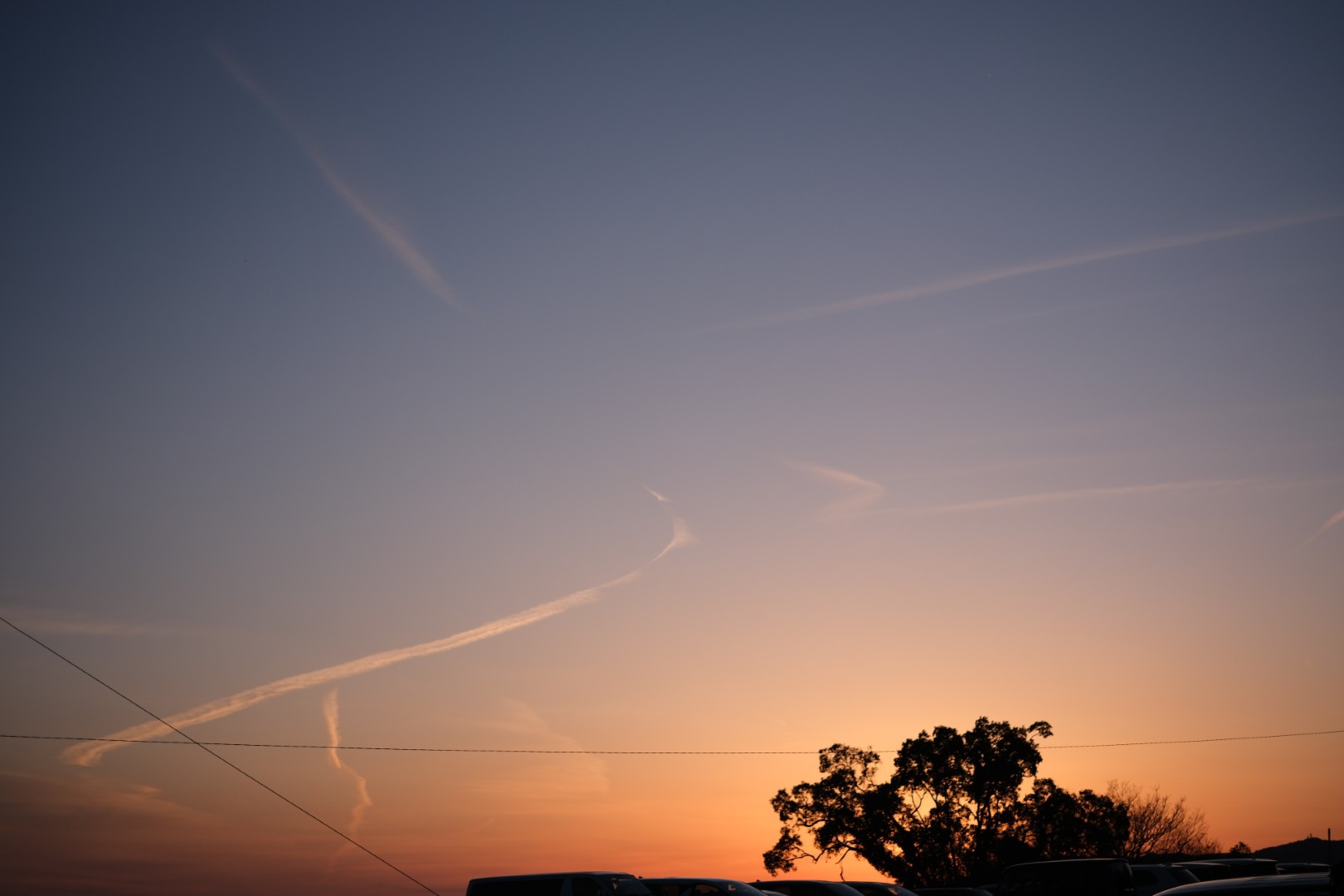 学会の宿泊先のホテルから